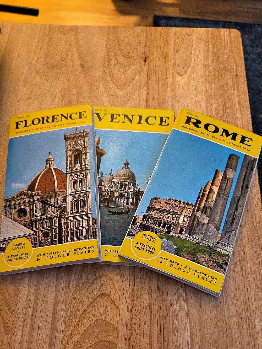 Amedeo Storti You In Florence, You In Venice, You In Rome guidebooks Guidebook